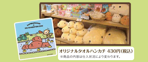 伊豆シャボテン動物公園×カピバラさん | カピバラさん キュルッと広場