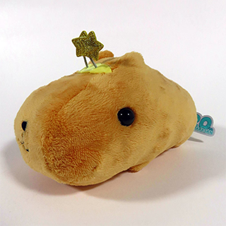 �ڍs�L�����y�[���v���[���g�摜