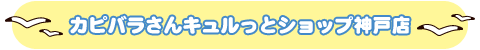 _˓X