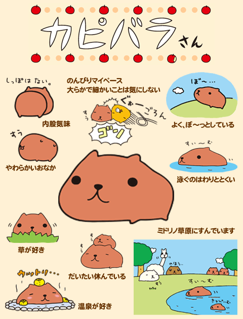 カピバラさん紹介