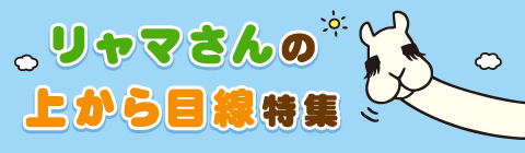 リャマさん特集